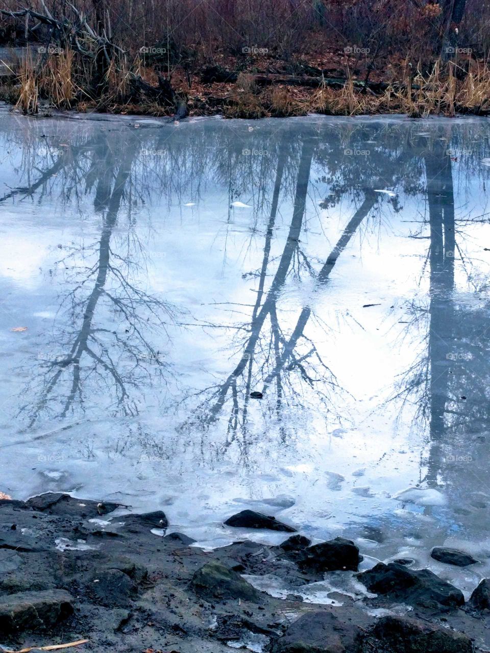Winter reflections