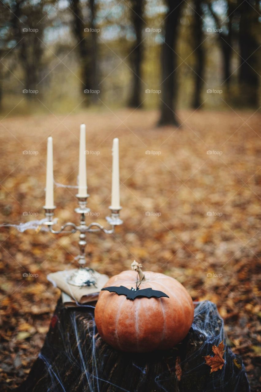 forest, night, holiday, decorations, snacks, fall, orange, black, mystery, Halloween, dark, glowing, candy, flashlight, ginger, fun, cute, fog, gloomy, burning, candle, flame, Jack, face, smile, autumn, symbol, skeleton, dark, above, scary, good, funny, background, lonely, sadness, darkness, magic, event, bat, Ghost, concept, trick, emblem, Phantom, pumpkin face, pumpkin, October, September, werewolf, mage, terrible, grim, supernatural, treat, trick or treat, horrible, wizard, Jack-lantern