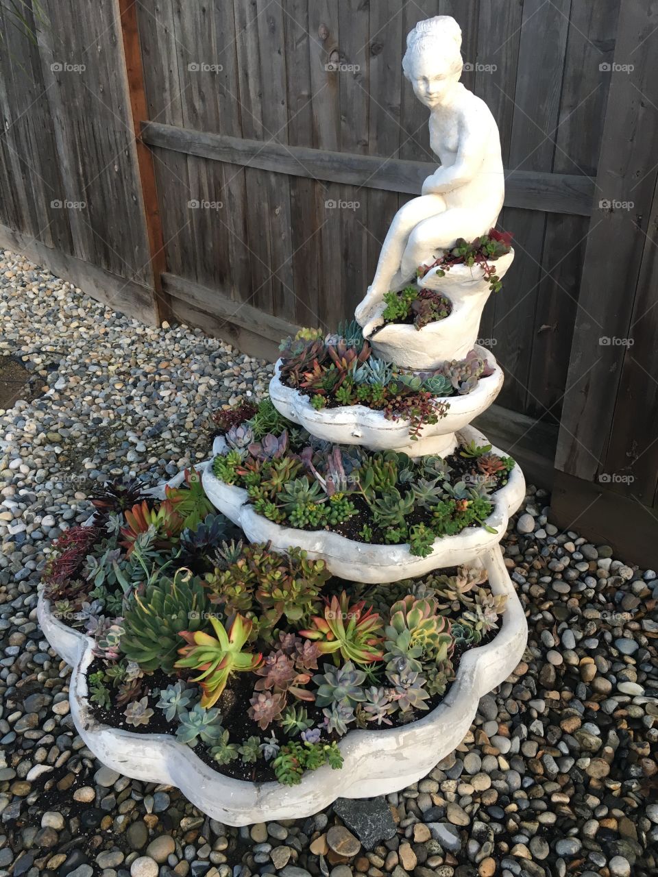Succulent fountain