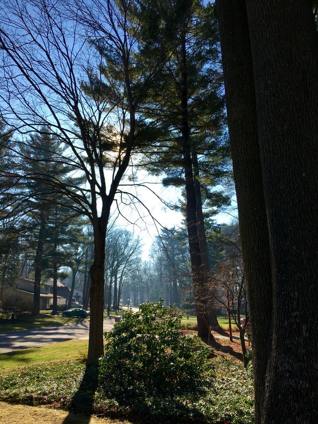 Sunny neighborhood 