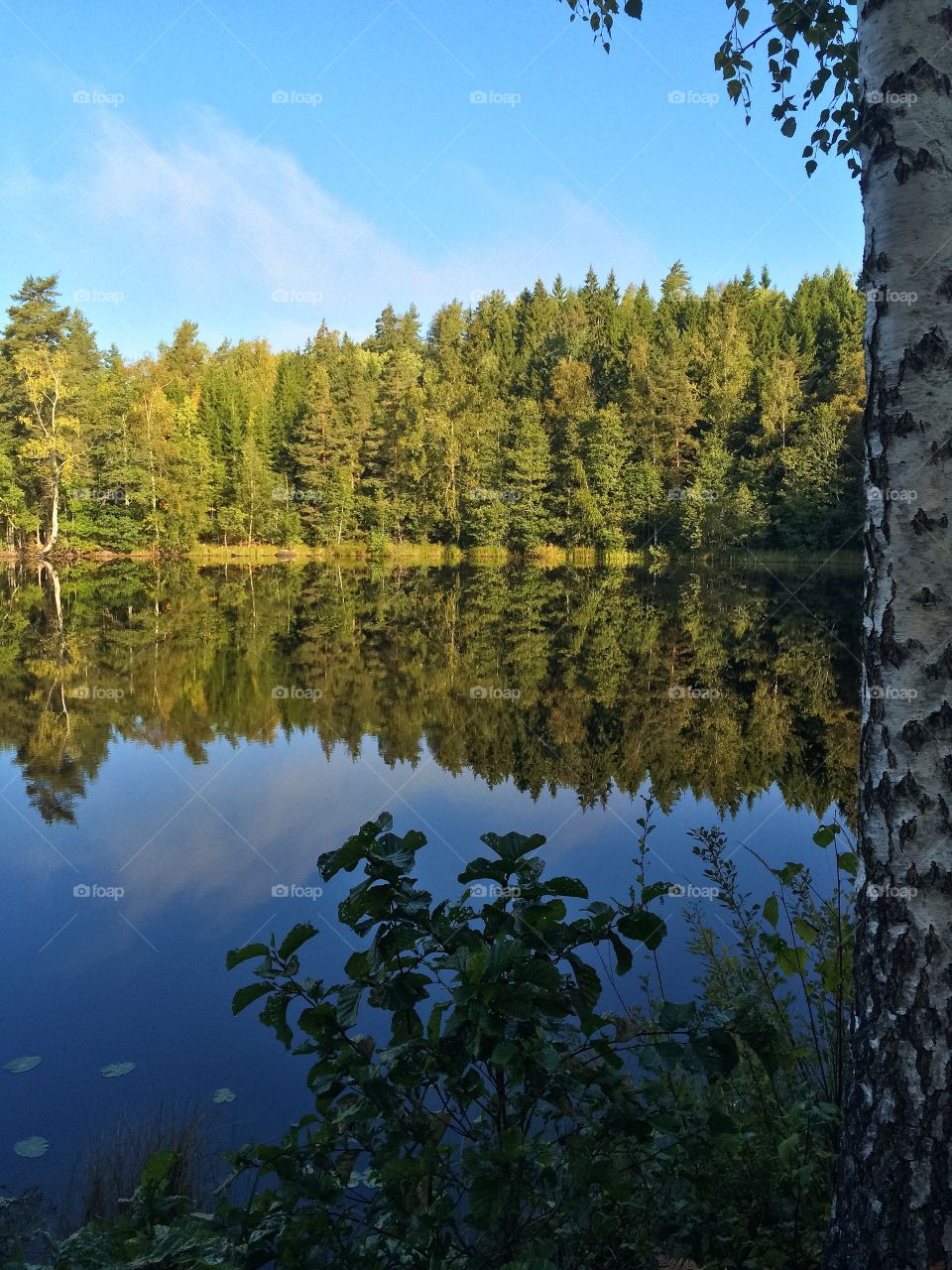 Incredible reflection