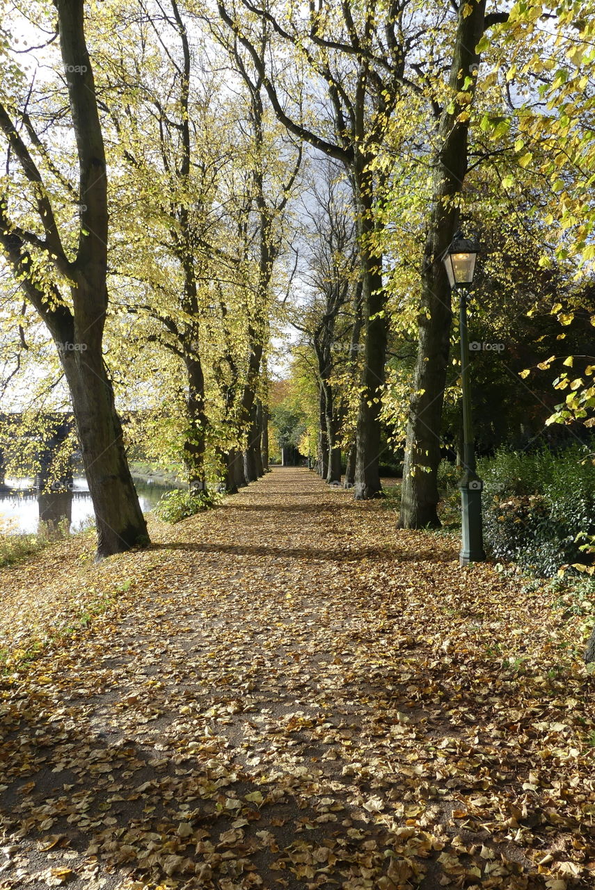 Avenham Park in Autumn 