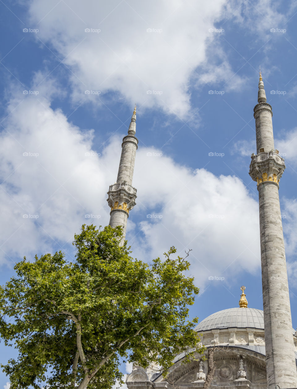minarets and tree