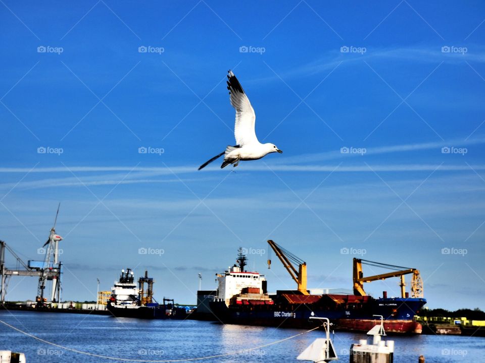 Attacks me by making picture