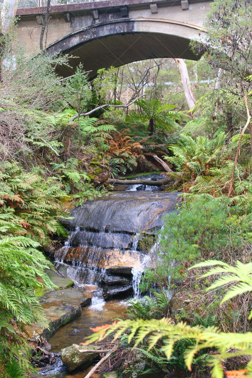 trees water forrest waterfall by kshapley