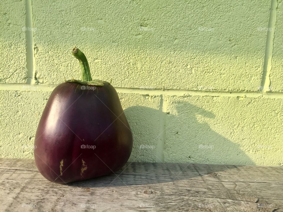 Eggplant with shadow 