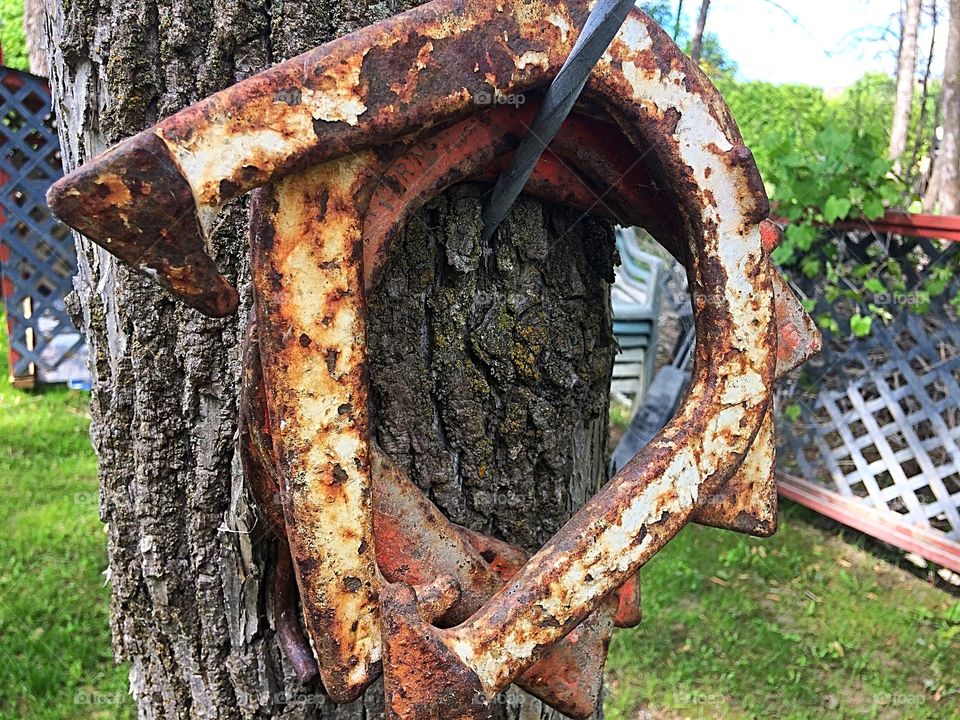 Rusted horseshoes 