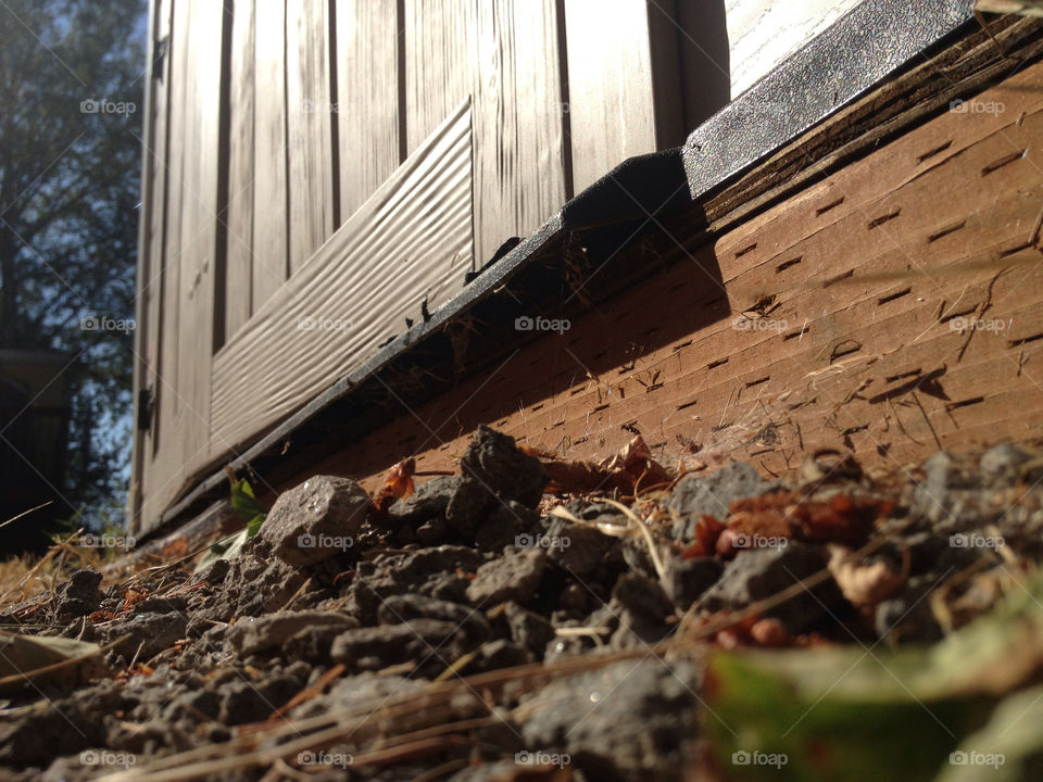 ground wood rocks shed by thepreissisright