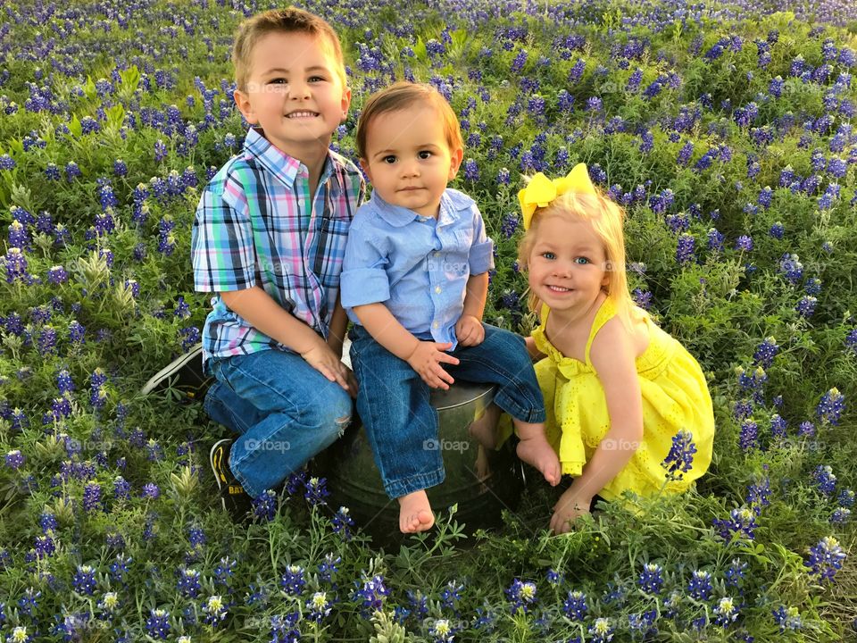 Siblings in the bluebonnets 