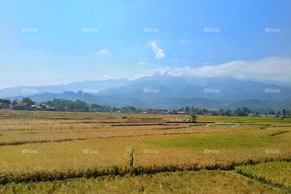 picture was taken from the inside of a moving train