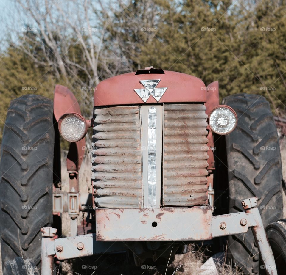 Sad, old 1958 Massey Ferguson. 