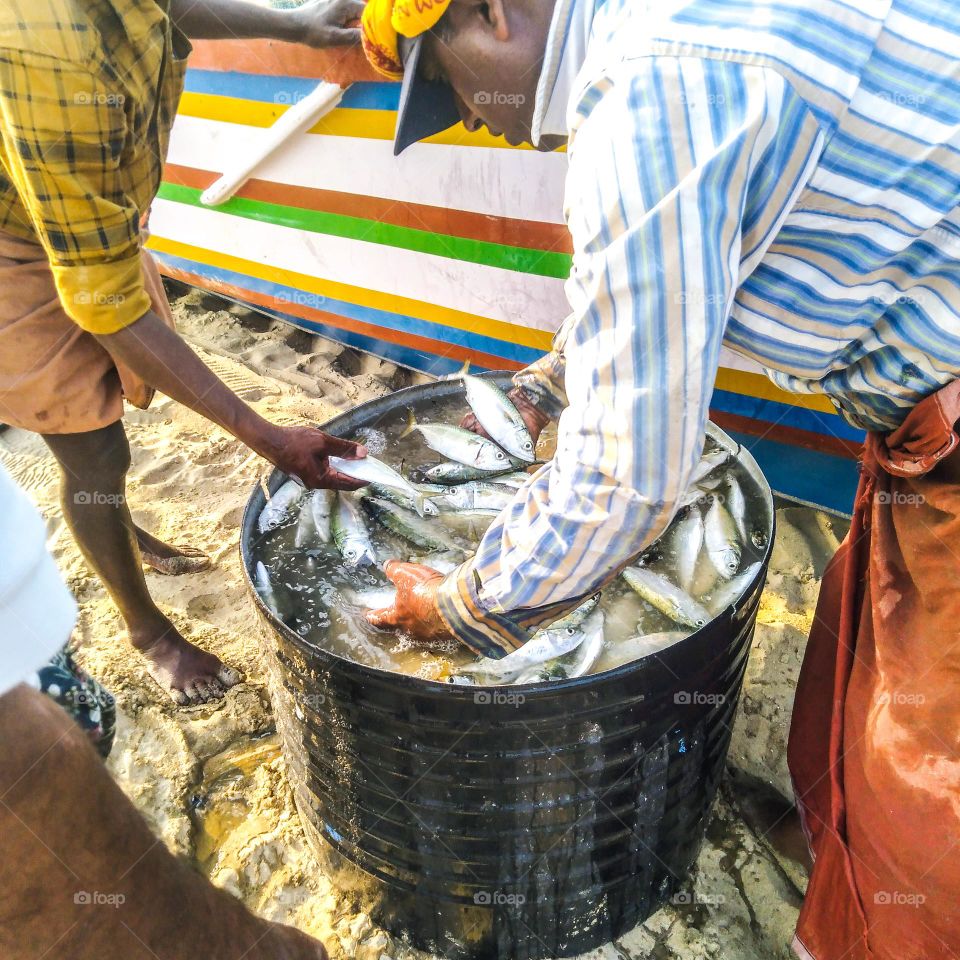 Clean the fish by washing them in sea water