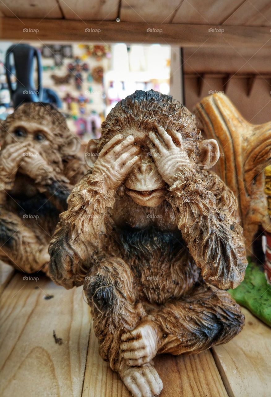 #Monkey #Forest #Brown #nice #animal
México 🇲🇽🇲🇽