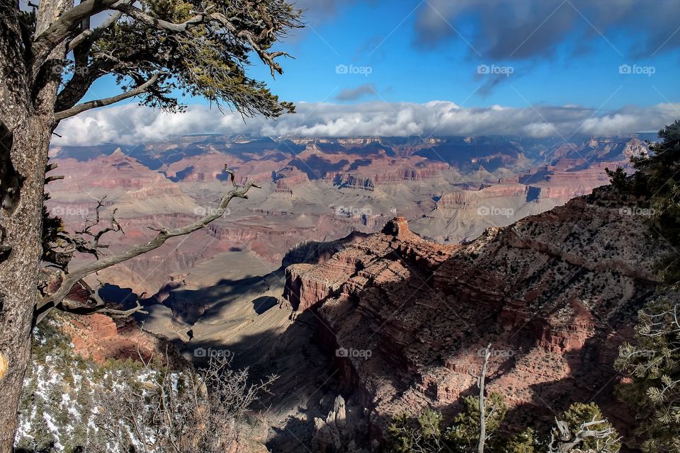 The Grand Canyon
