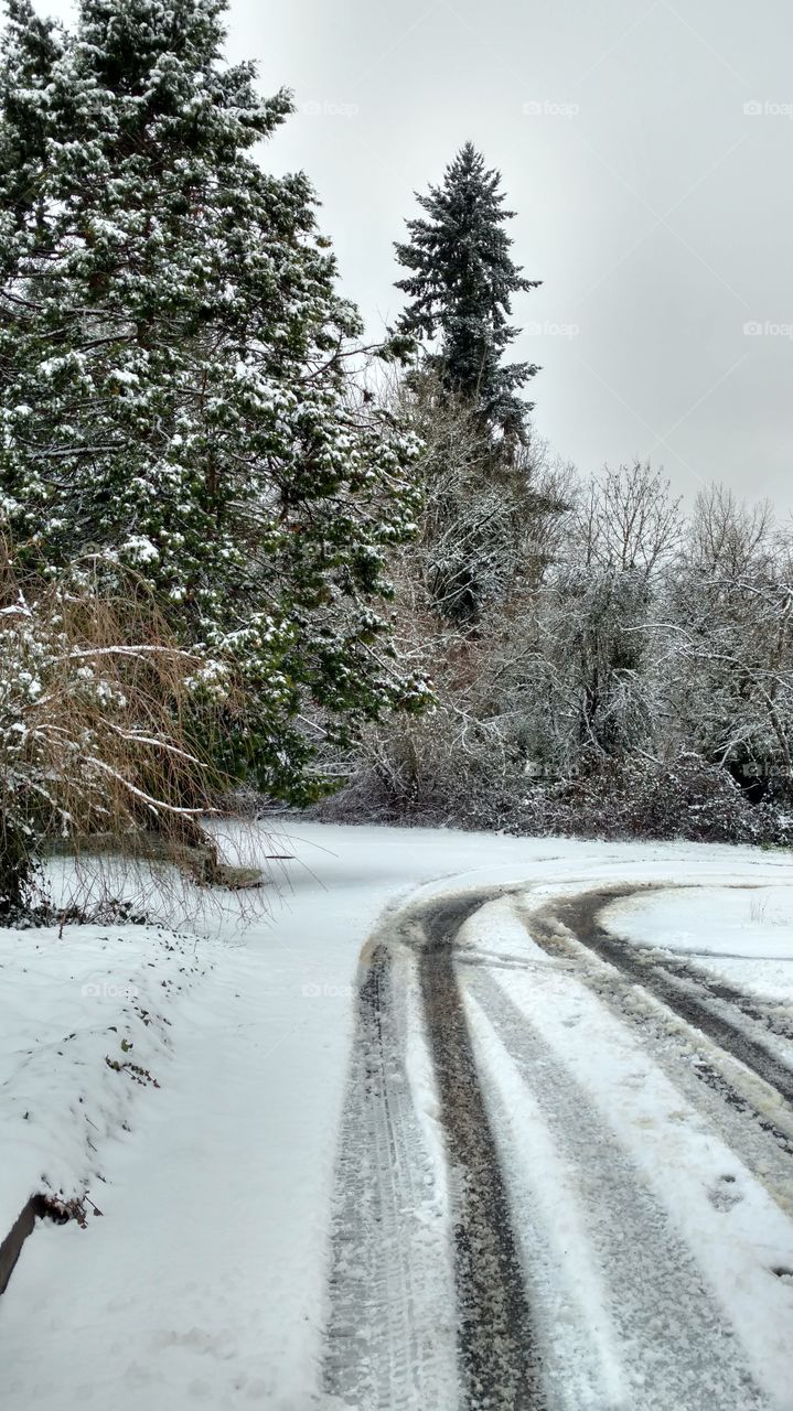 Winter, Snow, Landscape, Frost, Nature