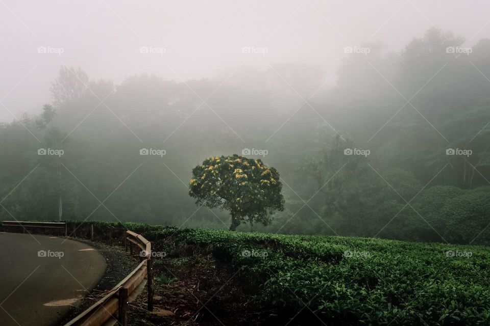 Mother Nature is the greatest artist.