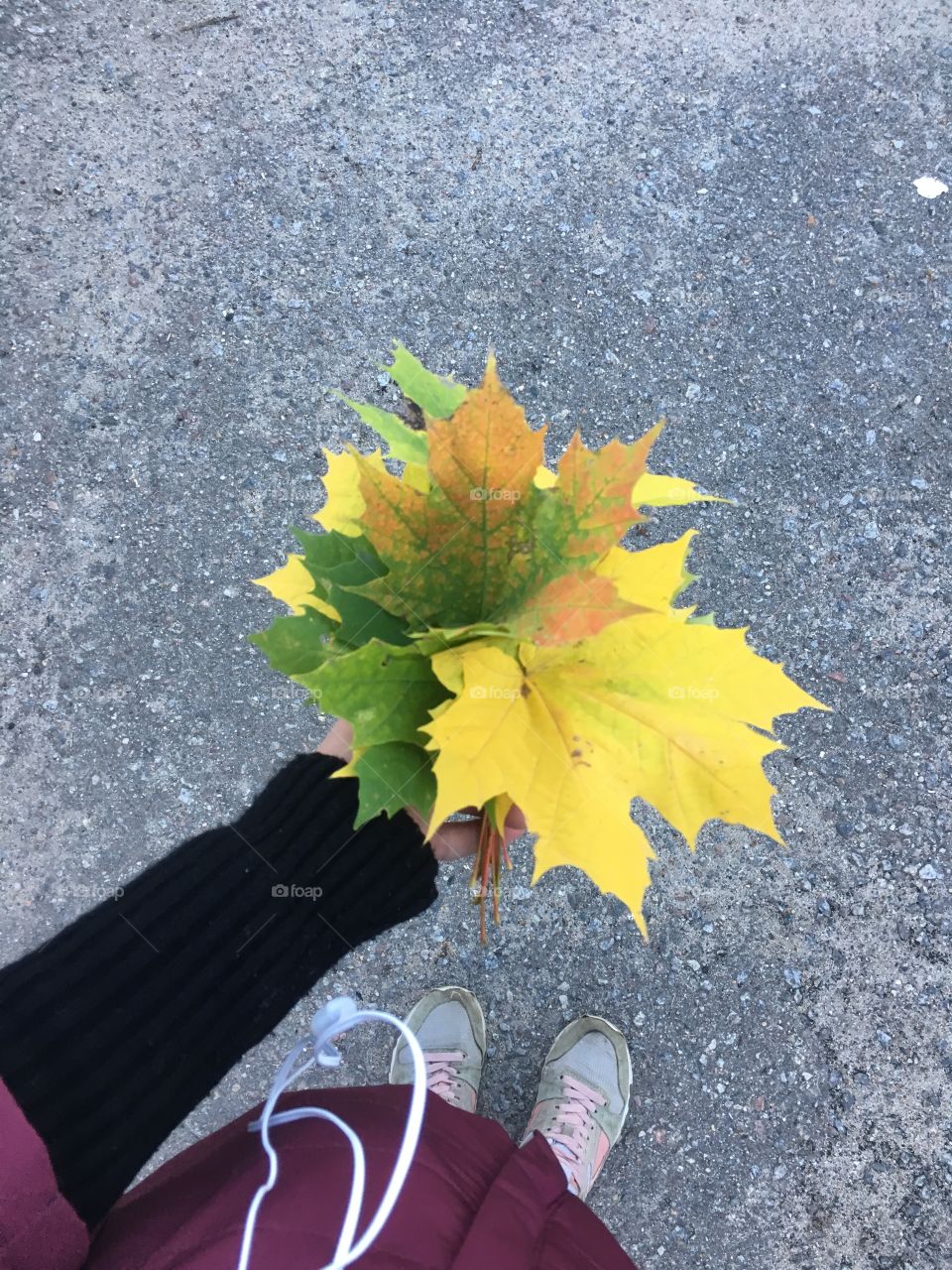 Noginsk did we have any more ideas for this year in my 