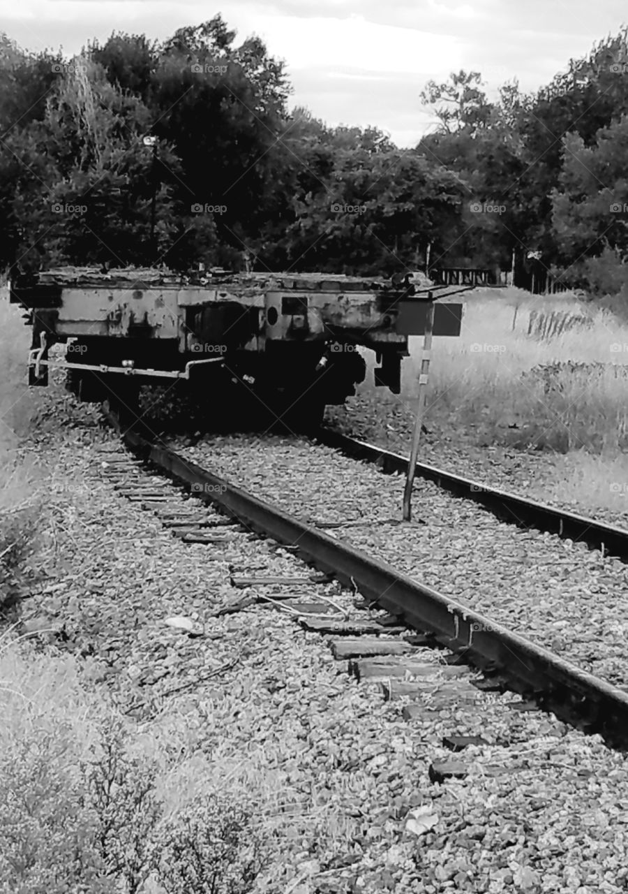 Abandoned Rail