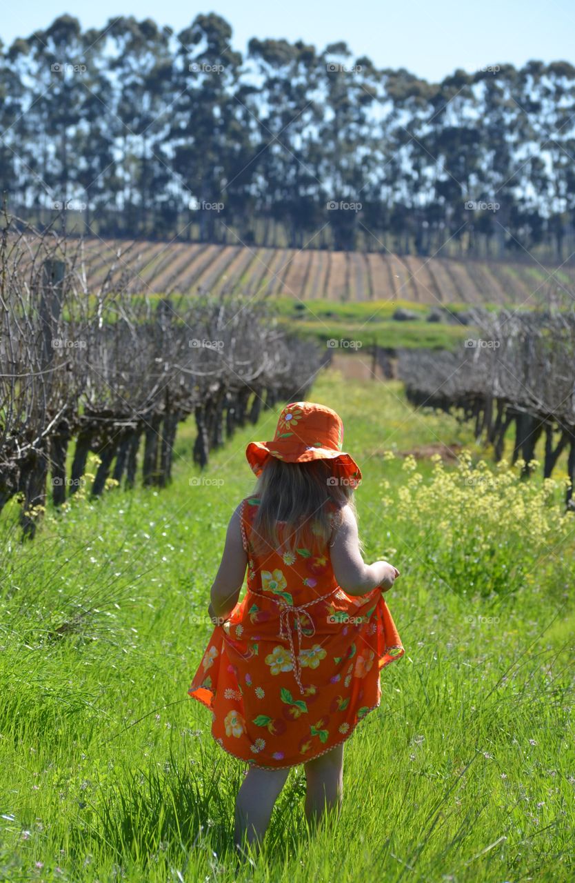 Walking in the vineyard