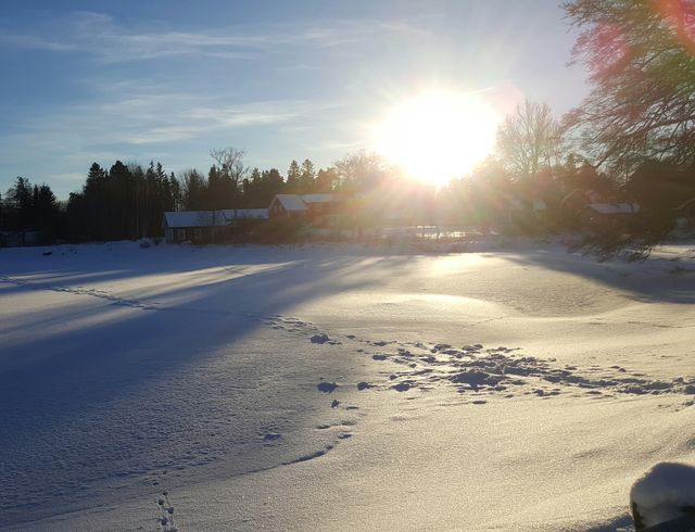 winter view