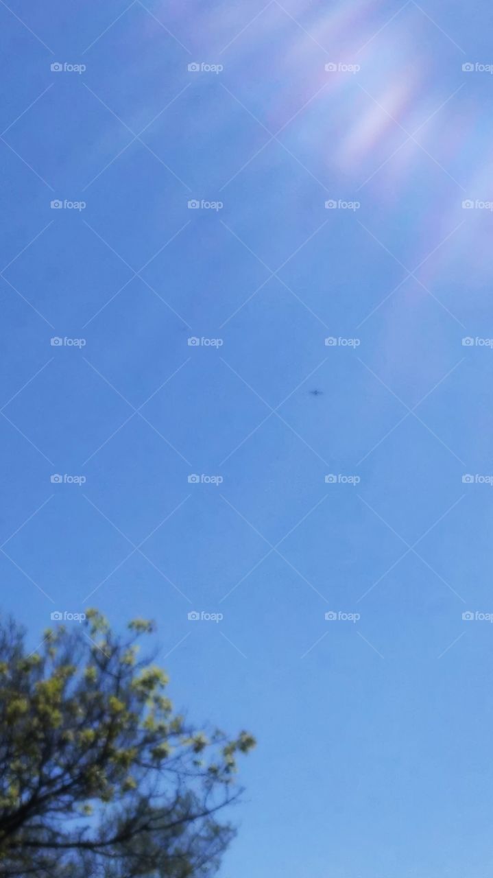 Sky, Nature, Flight, Abstract, No Person