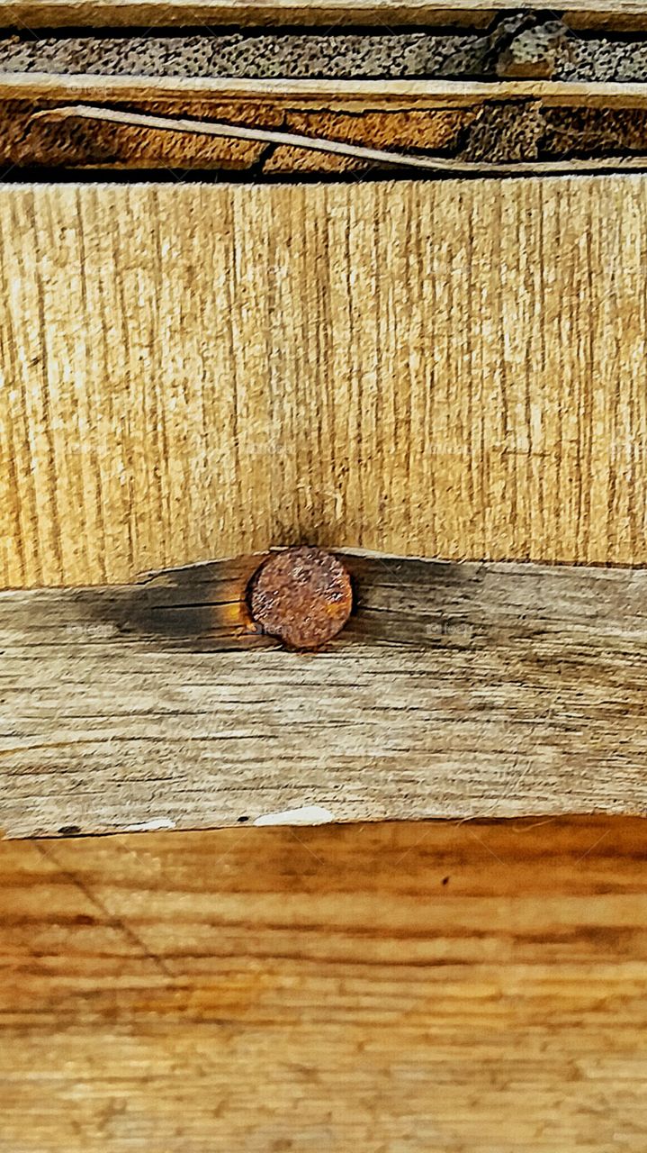 old rusty nail in weathered wood