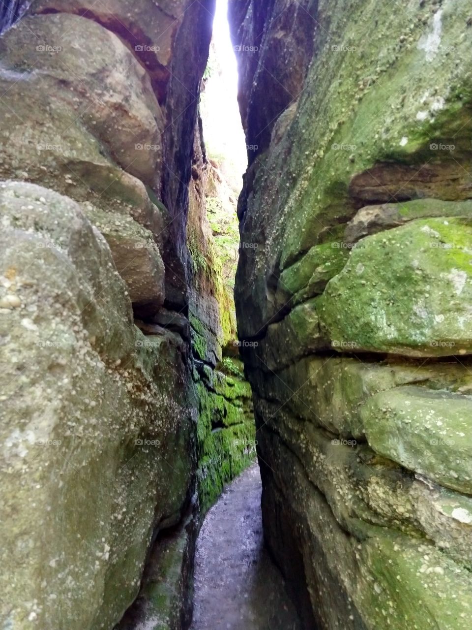 crevice in the rock