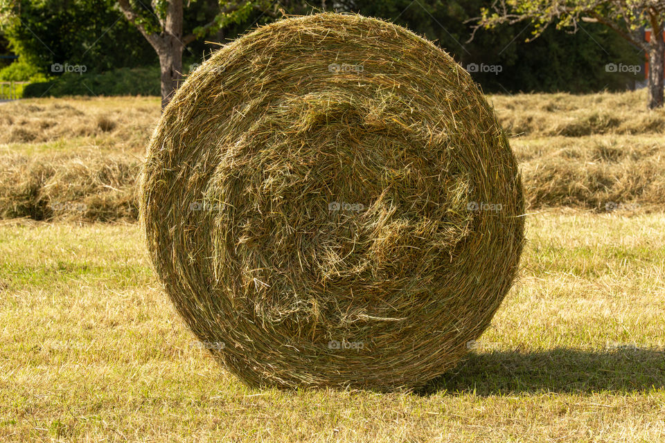 hay bale