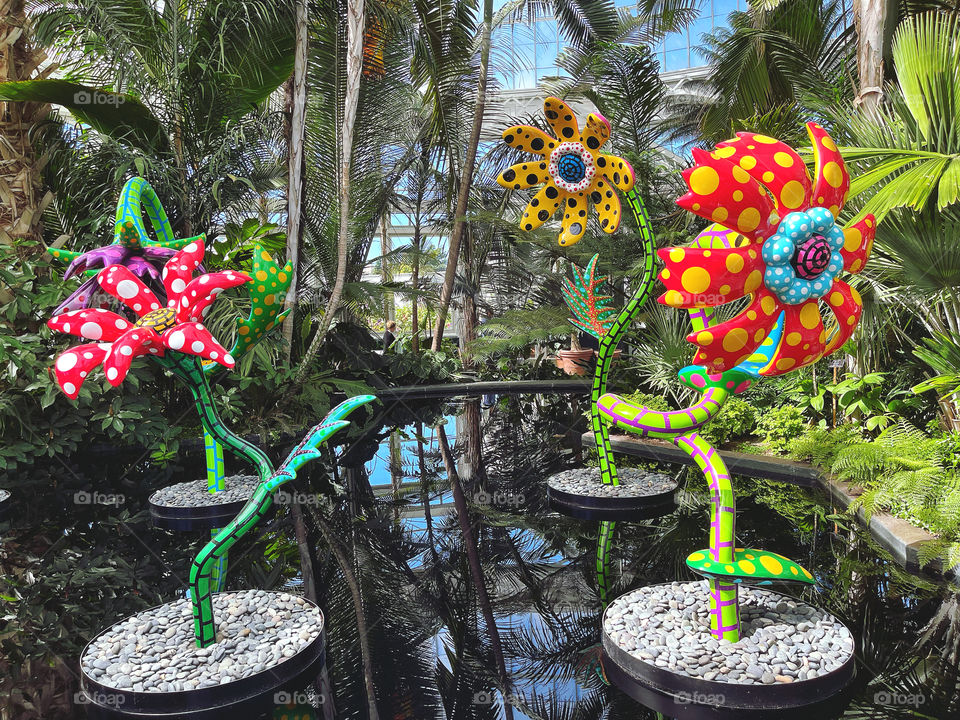 Kusama flowers at the New York Botanical Garden 