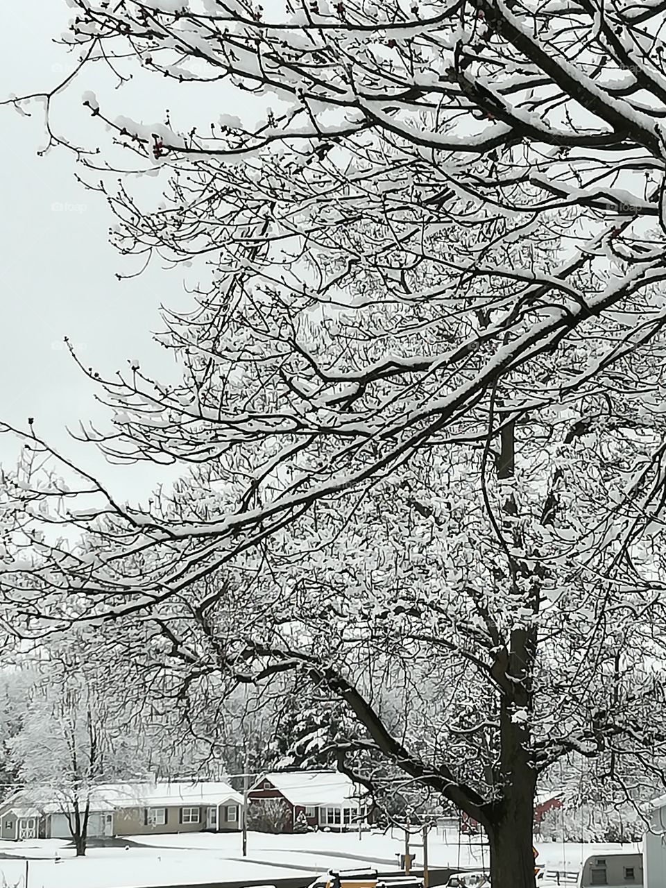 Late Spring snow in PA