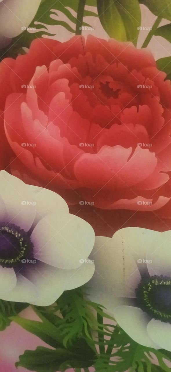 I think it's pretty good, how about you?