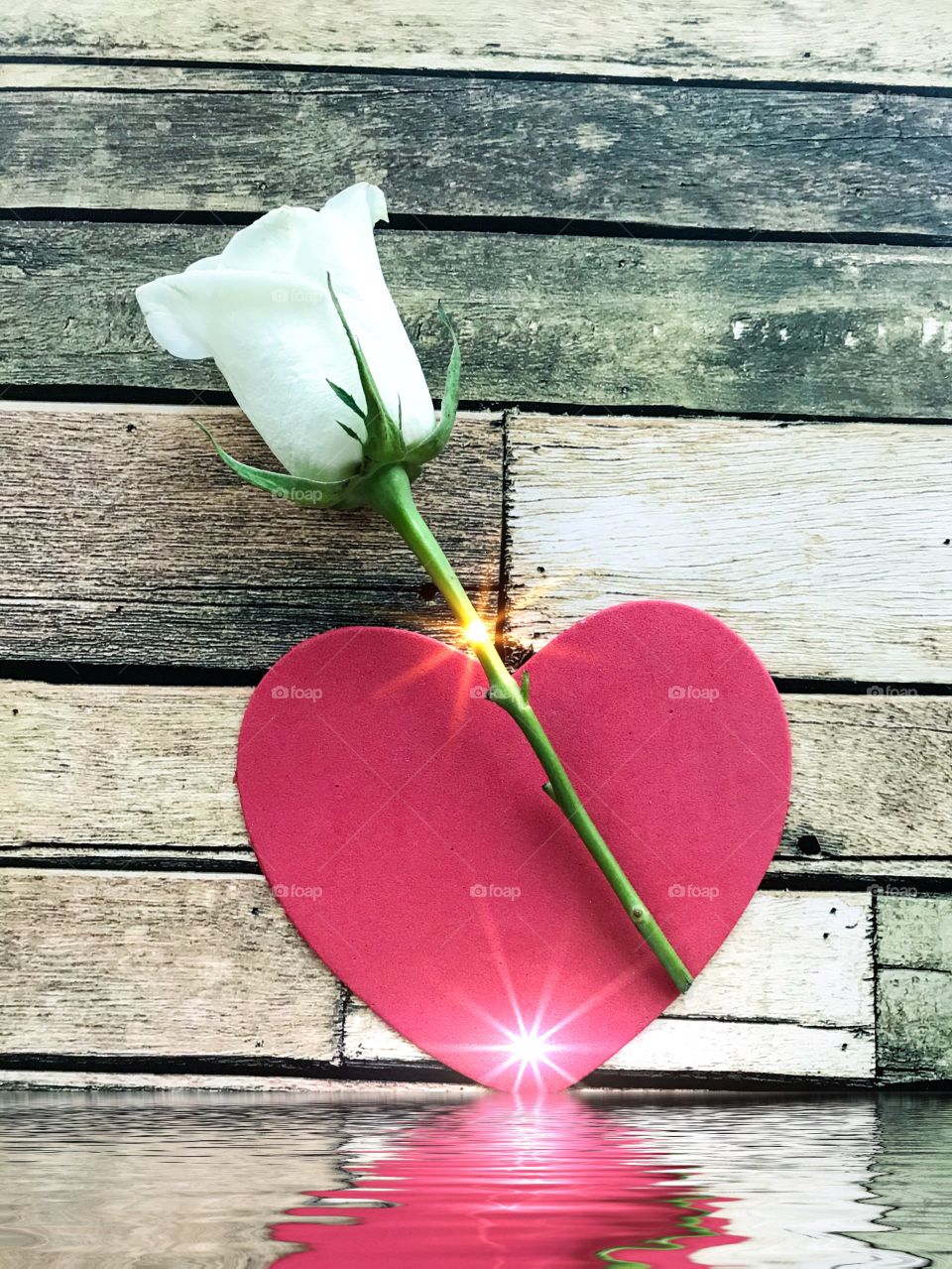 Red heart with white rose 