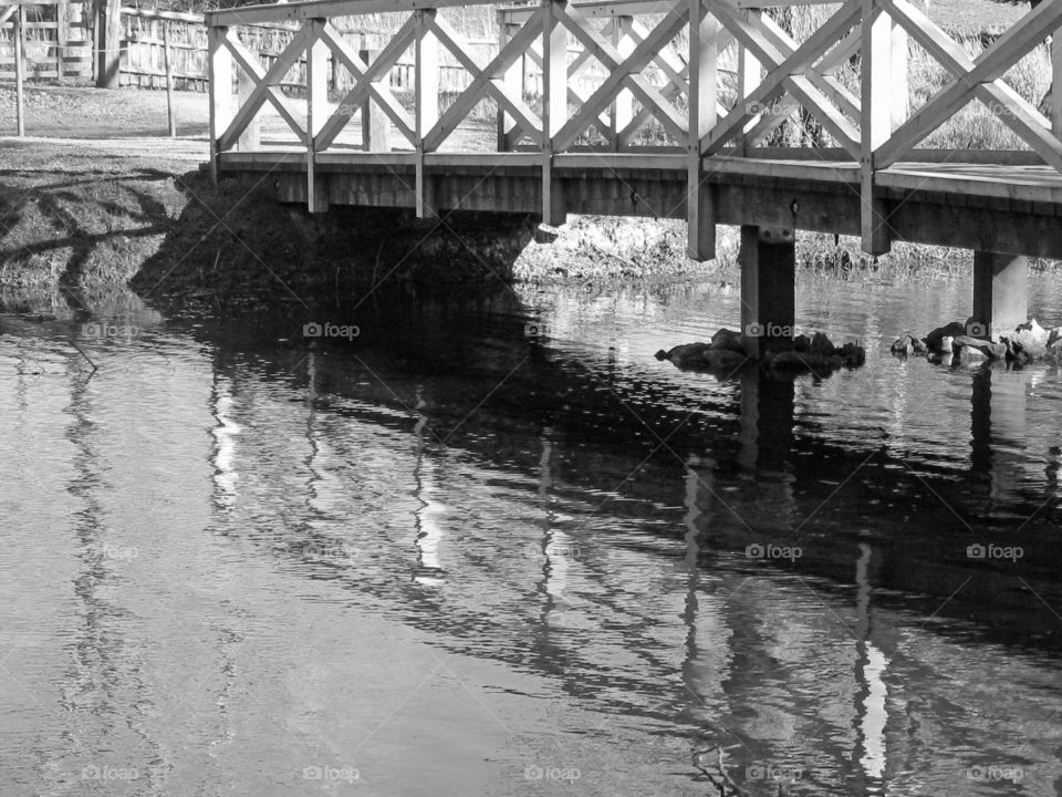 Monochrome Bridge Reflection