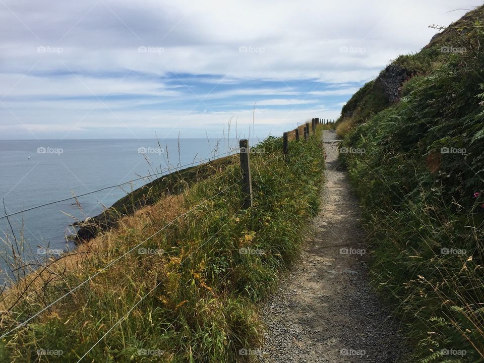 The way to the ocean 