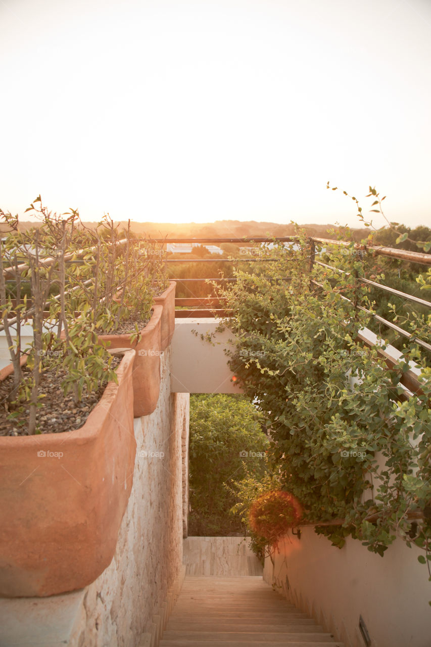 Sunset on the terrace