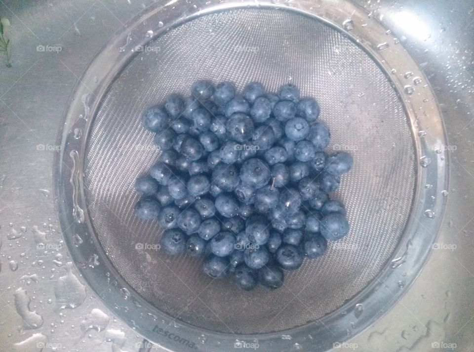 Blueberries