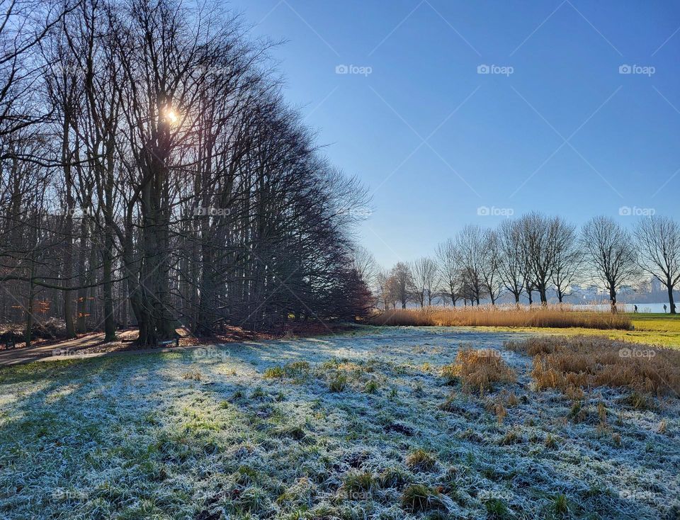 Four seasons in one day in The Netherlands on a winter day in februari