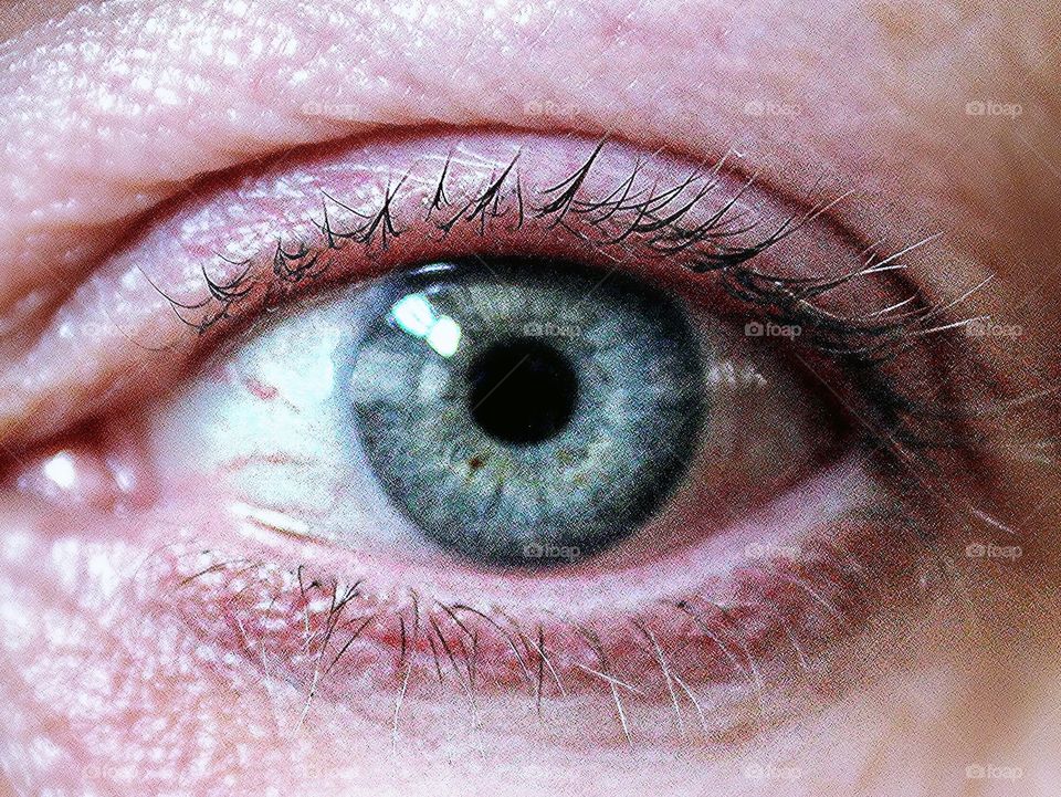 Extreme close-up of person eye