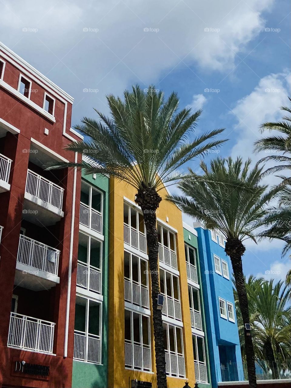 Brightly colored buildings with palm trees and blue sky.