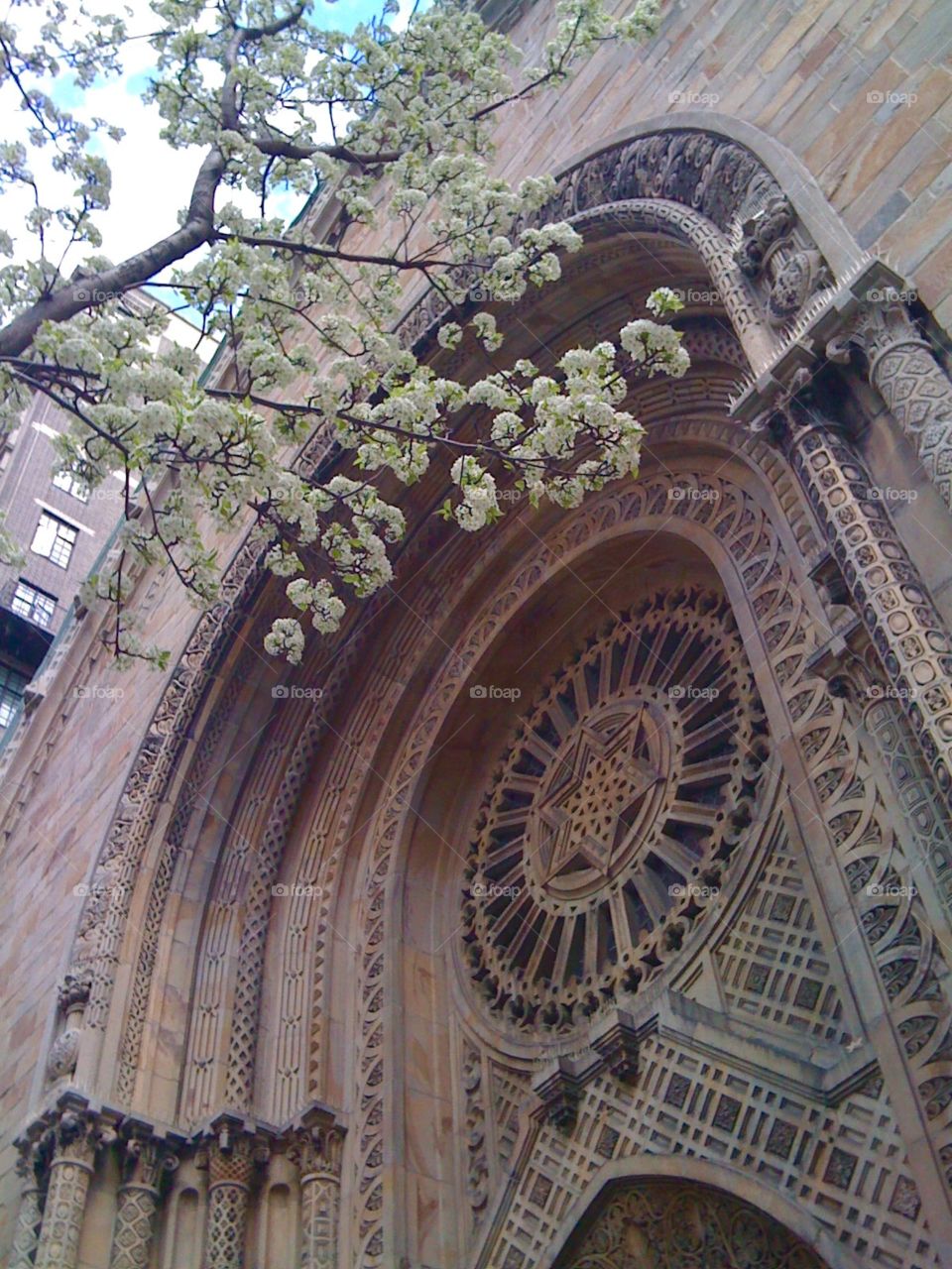 Blossoms and architecture on the UWS