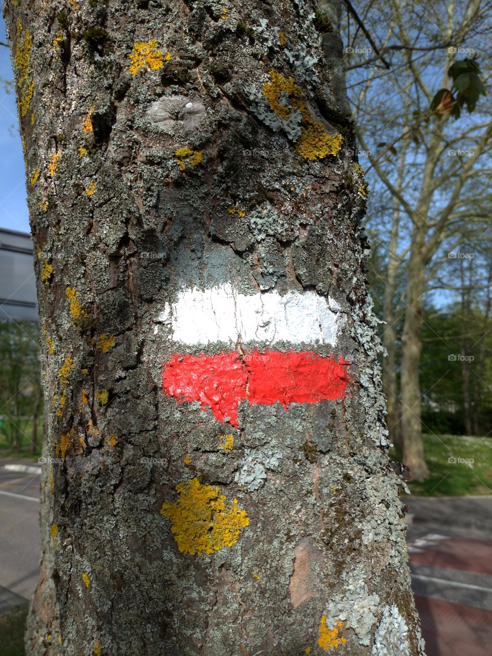 Landmark - Saint Jacques de Compostelle