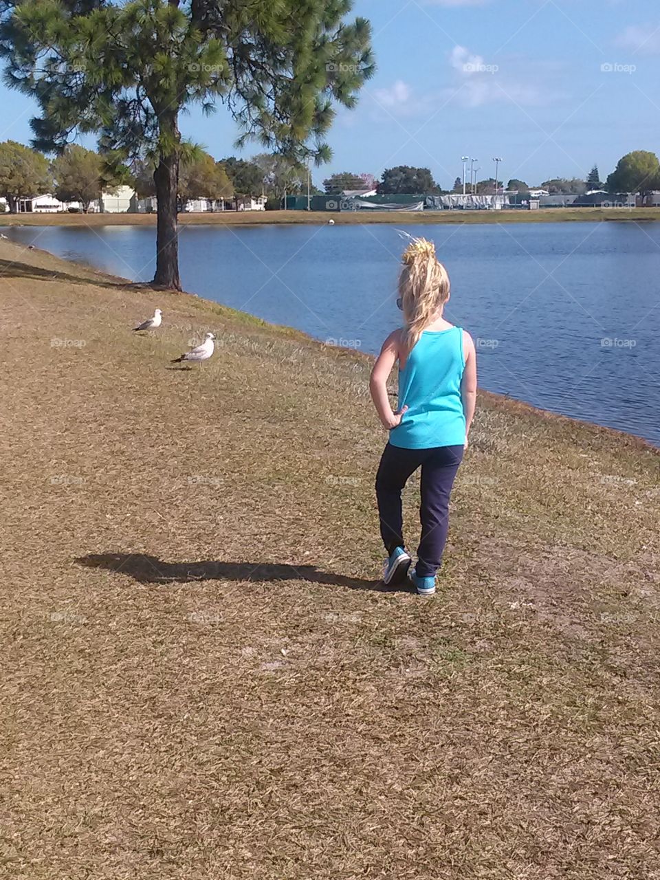 freeze tag with seagulls . my niece is playing tag with seagulls 