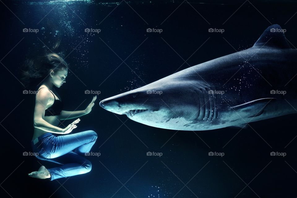 Sea in the shark and beautiful girl 