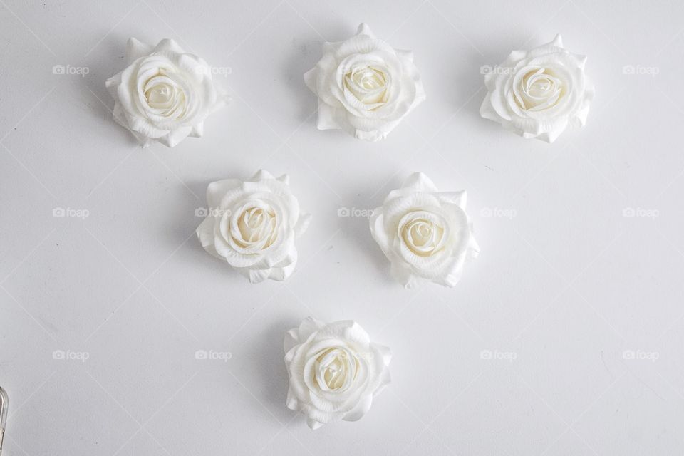 White roses 
