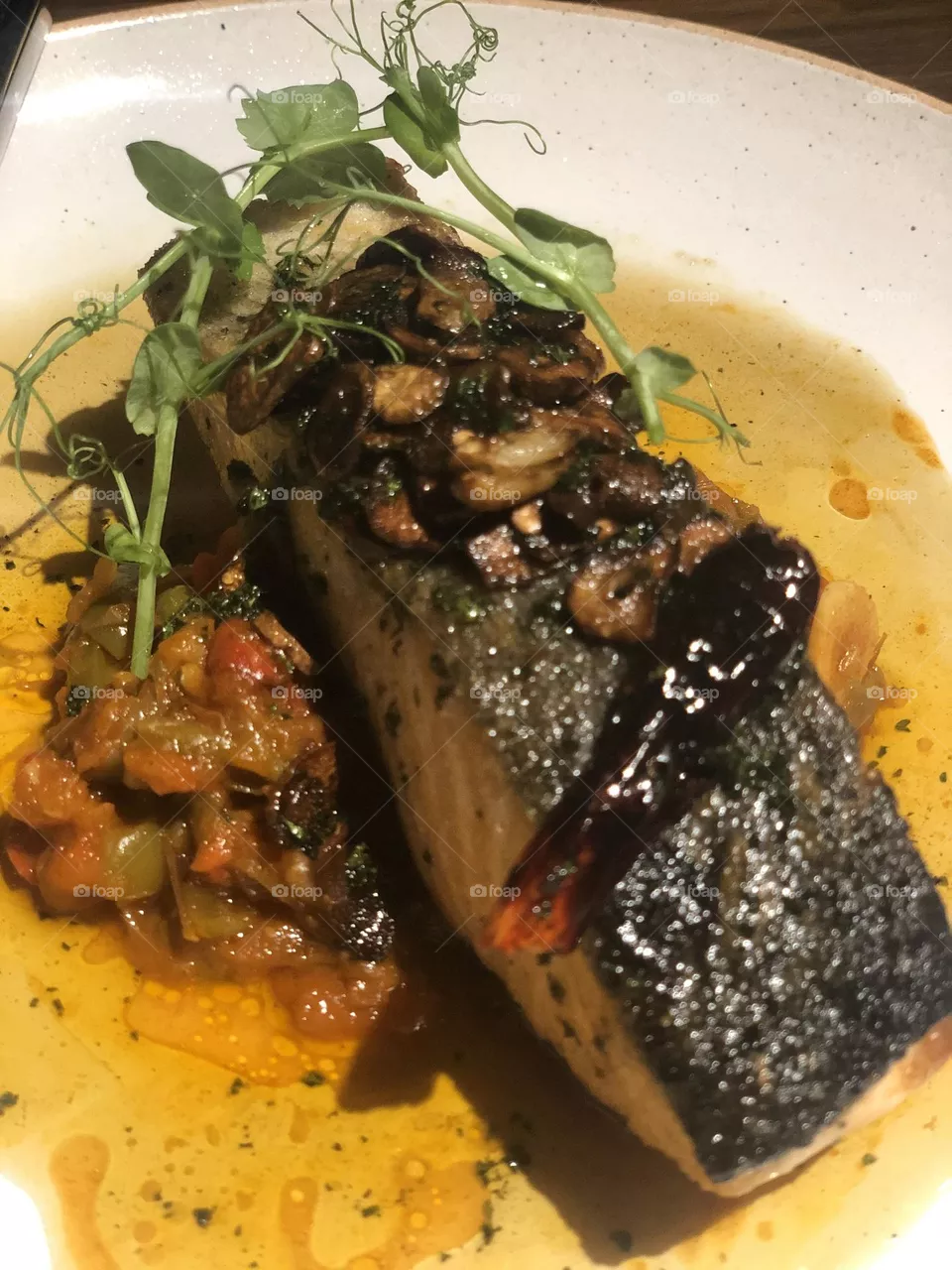 Salmon