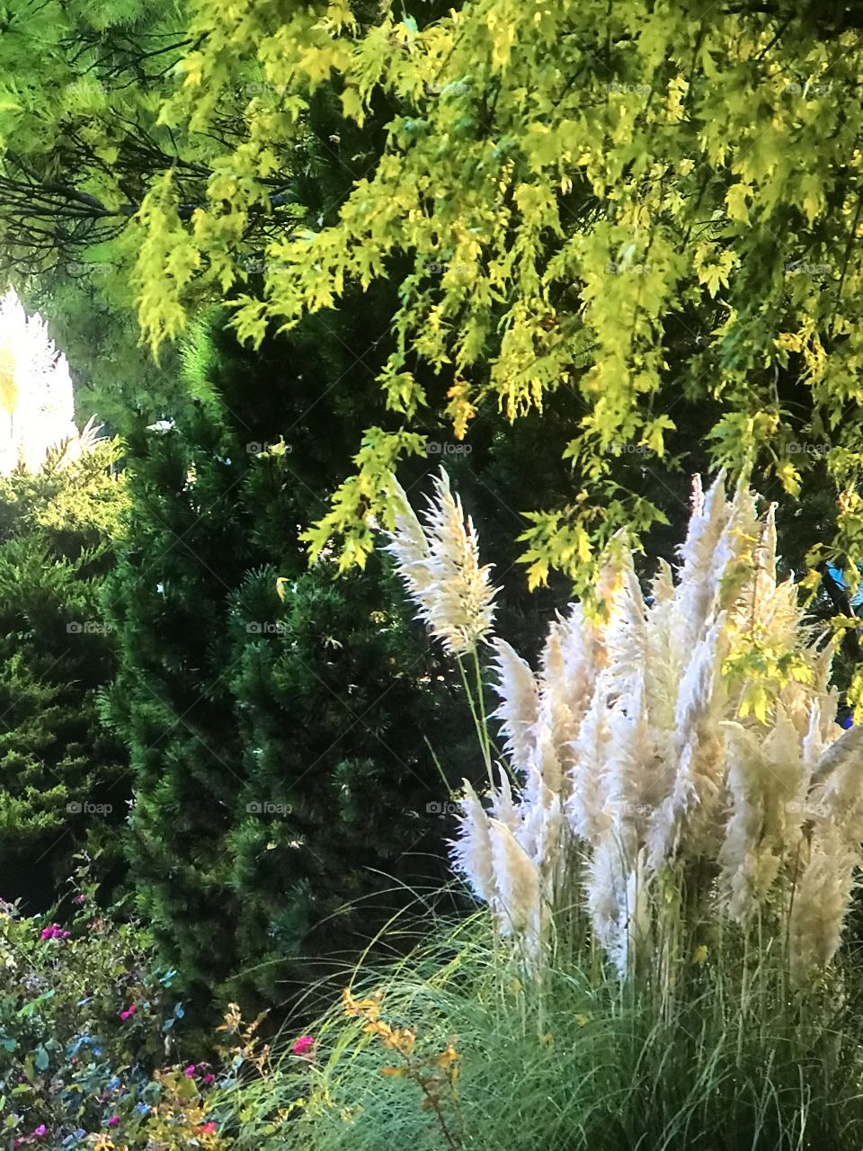 Awesome Landscape Park