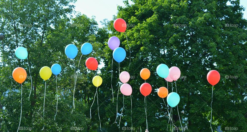 colour balloons fly color love