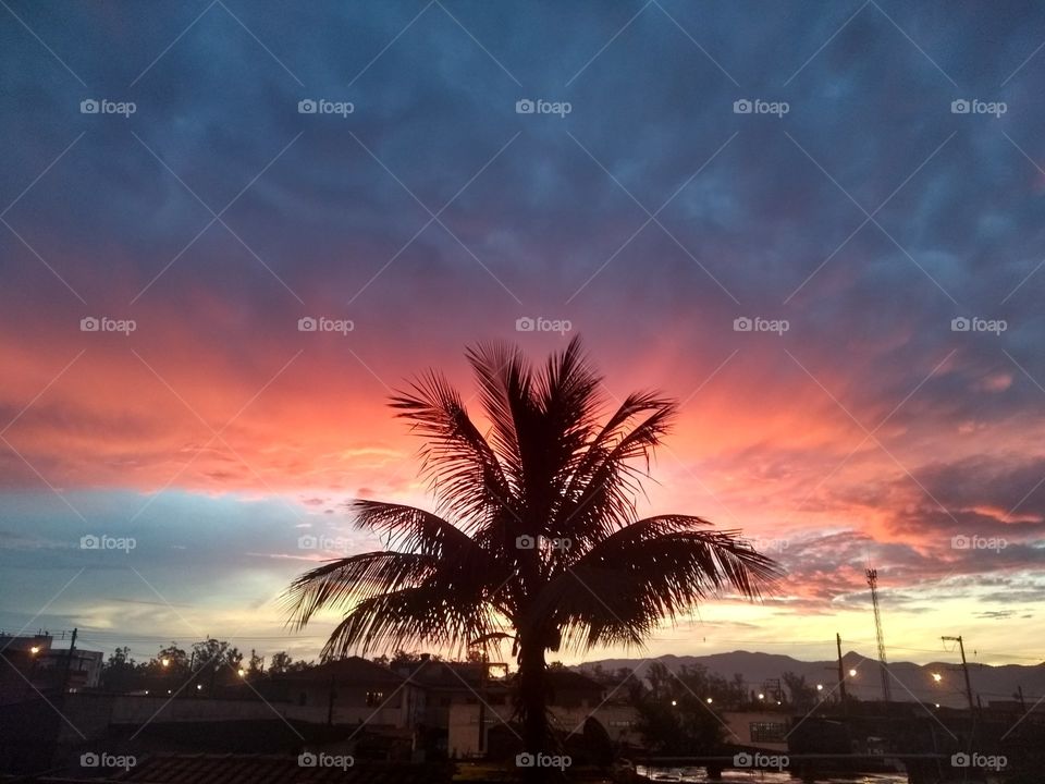 sun day beautiful pink sky