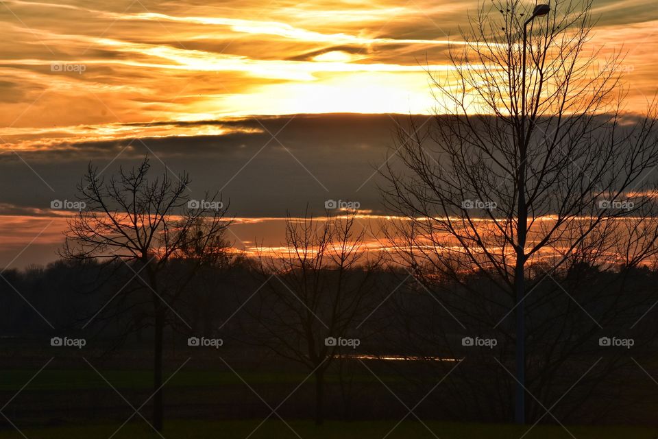 Dawn, Sunset, Landscape, Evening, Tree