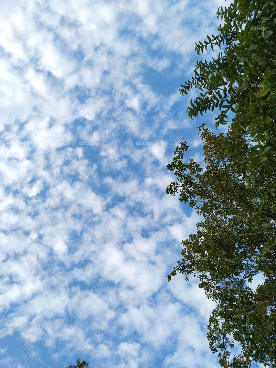 cloud formation blue sky beautiful nature